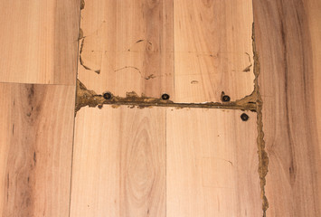Old worn laminate flooring.The laminate is cracked.Laminate to replace the background.