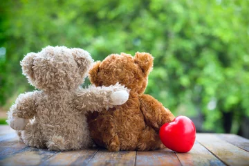 Fotobehang Brown teddy bear cute couple embracing each other to show love on nature background with sweet and romantic moment. © wirat