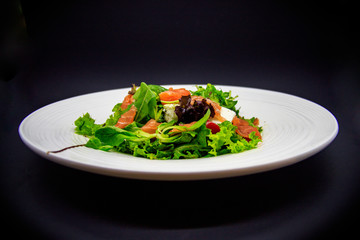 Salmon salad on black background