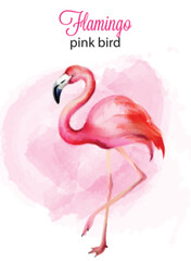 Watercolor flamingo pink bird portrait with background. Vector © castecodesign