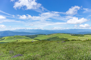 Fototapeta premium 高原の風景