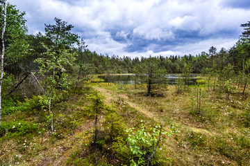 Hiking through the woods in Zemaitija National Park