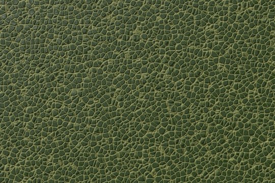 Texture green leather cracked. Abstract natural skin pattern surface animal dinosaur, crocodile. 3D rendering
