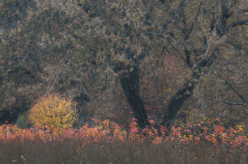 Ostatnie kolory © Tomek Kiecana