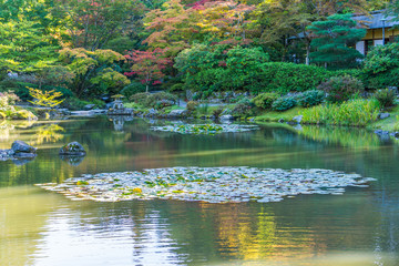 Seattle Garden In Autumn 5