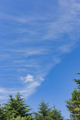 Obraz premium 高原の風景