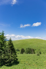 高原の風景