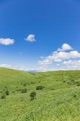 高原の風景