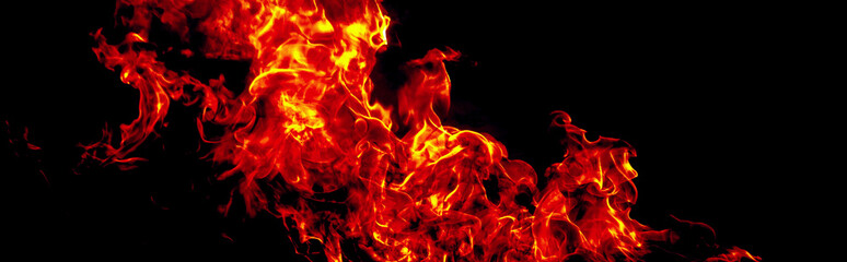 Fototapeta premium abstract fire flame texture for background.