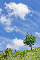 Obraz premium 高原の風景