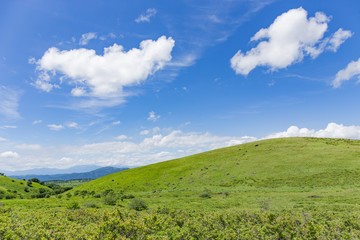 Fototapeta premium 高原の風景