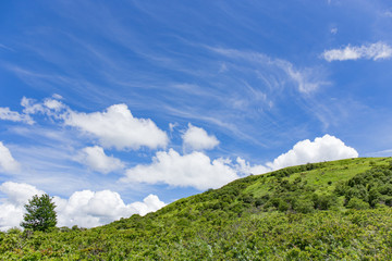 高原の風景