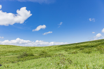 Fototapeta na wymiar 高原の風景