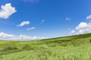 Obraz premium 高原の風景