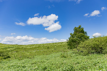 高原の風景