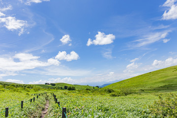 高原の風景