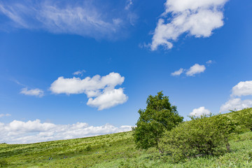 高原の風景