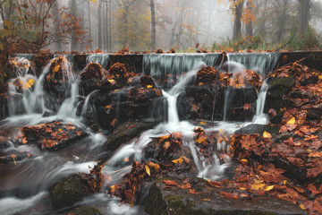 żródło w parku © kamil