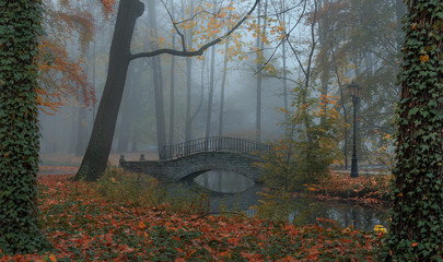 jesienny park © kamil