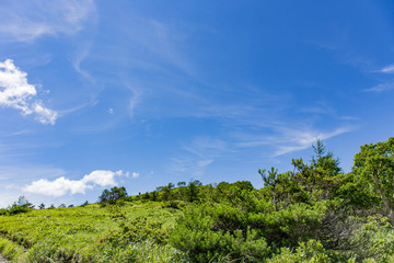 高原の風景