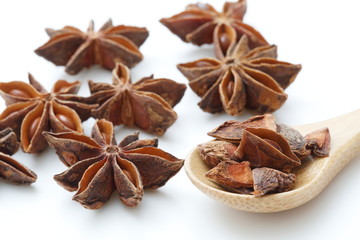  Chinese food spice octagon 《Spices》