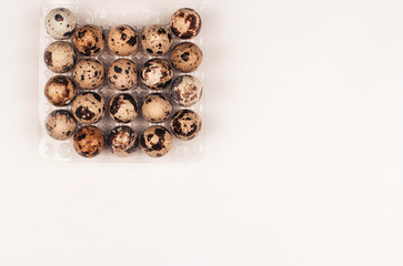  quail eggs in a box on a white background copy space