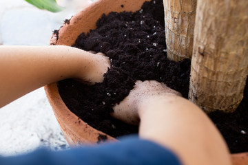 Kids replanting a plant in another pot. Children preparing the soil for a new plant