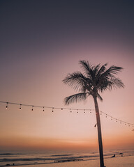 Bali Sunset Palm