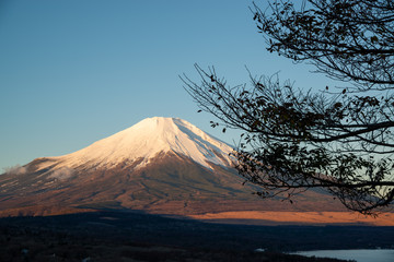 枯れ木と富士　引きの構図