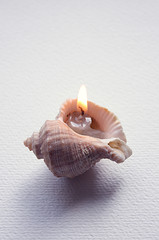 sea-shell candle with white background