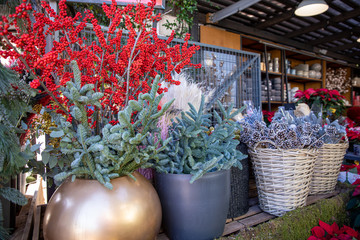 Winter seasonal flowers counter with baskets full of beautiful ilex aquifolium branches, spruce or coniferous tree branches, pine cones at the greek flowers shop for festive interior decor.