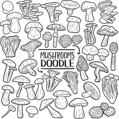 Mushrooms Wild Nature. Fungi Forest Fungus. Traditional Doodle Icons. Sketch Hand Made Design Vector.