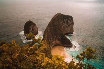 Nusa Penida Island Dinosaur