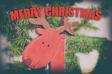 MERRY CHRISTMAS © Tomasz Warszewski
