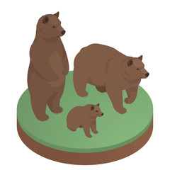 Brown bears isometric illustration. Stock vector. Two adult bears and their cub. Bear standing on his hind legs.