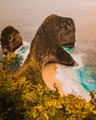 Kelingking Beach Tropical Bliss