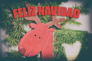 FELIZ NAVIDAD © Tomasz Warszewski