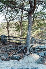 Cloudland Canyon State Park
