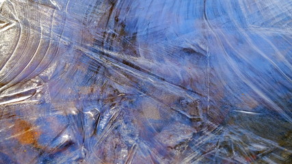 Fototapeta na wymiar The first thin ice on a forest lake. Fallen leaves of trees under the ice.