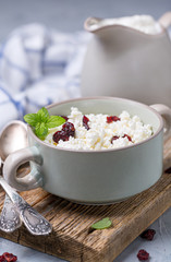 Organic farm cottage cheese in a ceramic bowl.