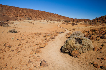 El Teide National Park with  highest voolcanic peak of the Canary islands, Tenerife, Spain.