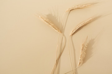 Ears of rye, wheat on pastel beige background. Flat lay, top view minimal organic healthy raw food...