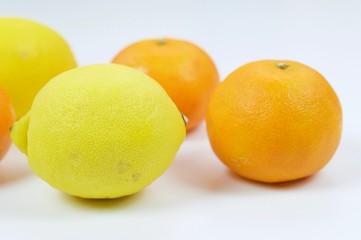Lemons and tangerines in macro view