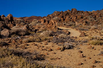 Teide National Park on Tenerife, Canary Islands, Spain.