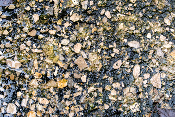 Wet granite after rain, texture of small stones.
