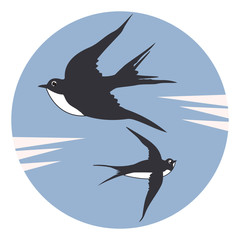 Swallows - round icon isolated on white background - vector. Environmental Protection. Animal world.