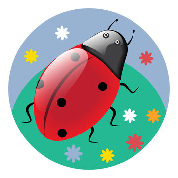 Ladybug - round icon isolated on a white background - vector. Environmental Protection. Animal world.