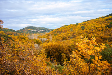 Vue panoramique sur le foret automnal dans le parc national de Luberon, Provence, France. - 307210249