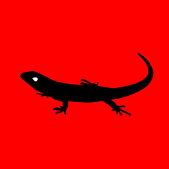 lizard silhouette images isolated on red background
