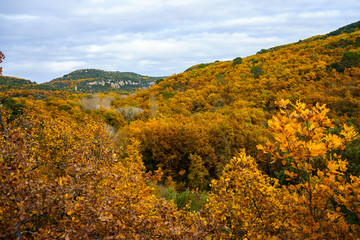 Fototapeta premium Vue panoramique sur le foret automnal dans le parc national de Luberon, Provence, France.